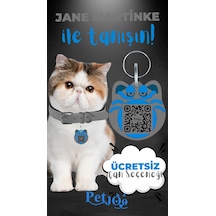 Petjoo 5.Jane Martinke Mavi-Gri Qr'lı Kedi Künyesi