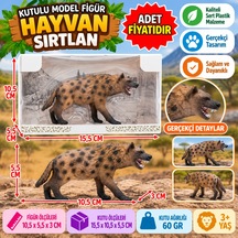 Hayvan
