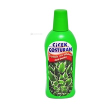 Çiçek Coşturan 1200 Çiçeksiz Süs Bitkileri için