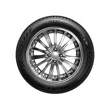 Nexen 205/60R16 92H Wınguard Snow G 2 Kış Lastiği 2024