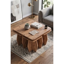 Orta Sehpa Ve Zigon Sehpa 5'li Set Modern Çok Amaçlı Salon Oturma Odası Yan Sehpa 9248 Atlantik Çam Çok Renkli