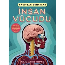 İnsan Vücudu - Kyut-837342