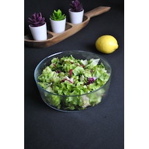 Modern Cam Salata Tabağı 20 Cm Salata Cips Yuvarlak Sunum Ve Serv