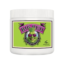 Advanced Nutrients Big Bud Powder 130g