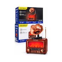 Polygold Pg-01bt Bluetooth Gramofon Nostalji Speaker Fm/am/sw Radyo Usb Tf Kart 1800 Mah