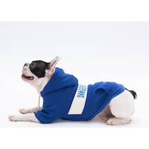Pawstar Mavi Cute Köpek Hoodie Köpek Sweat Köpek Kedi Kıyafeti