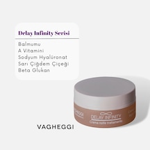 Vagheggi Delay Infinity Age Proof Night Cream 50 Ml