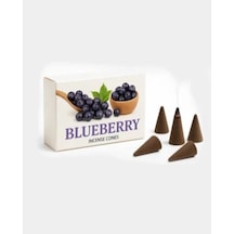 Hem Konik Tütsü Blueberry 1 Paket 10 Adet