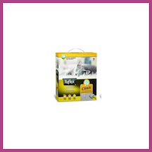 Gees Global Clinic Topaklanan Kedi Kumu 2x10 Lt Gbzs