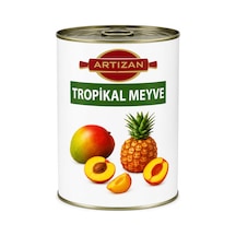Artızan Tropikal Meyveli Dolgu 2,7 Kg