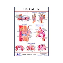 EKLEM LEVHASI 70x100 EBATLARINDADIR.