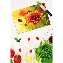 Model 200 Cam Kesme Tahtası 30 Cm X 40 Cm