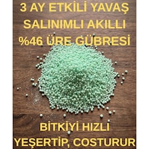 Üre Gübresi Yavaş Salınımlı Akıllı Çim Gübresi 2 KG