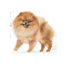 Yetişkin Pomeranian Köpek Irk Maması 3 Kg - Özel Formül 100 G