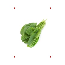 Ekşi Kuzukulağı Tohumu - 3 Gram