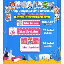 Çok Renkli