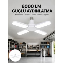 Çok Renkli
