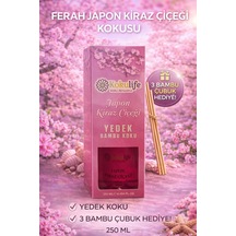 Japon Kiraz Çiçeği Kokulu Yedek Bambu Koku 250 Ml 3 Bambu Çubuk Hediyeli Yüksek Esans Kaliteli Koku Karışık