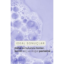 Professional Purple, Ton Eşitleme Bakım Şampuanı, 350 Ml
