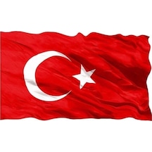 Diğer