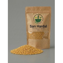 İxirciyusuf Sarı Hardal Hardal Tohumu Yellow Mustard Seed Mustard Seed Brassica Alba Doğal Tane 100 G