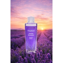 Cleanrose Lavanta Kolonyası - 250 Ml Modern Tasarım Şişe
