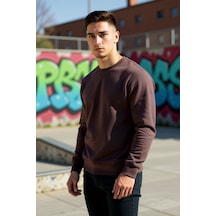 Benerly Erkek Bisiklet Yaka Standart Kol Regular Kalıp Sweatshirt Fonksiy Kahverengi