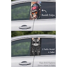 Aracınız İçin Şık Bir Tasarım Kapı Direk Folyo Sticker Etiket