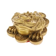 Trendooze Homyl Feng Shui Çin Zenginliği L L, Şanslı Para Talimatı L