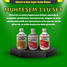 Royal Güvercin Ve Kafes Kuşları İçin Muhteşem Üçlü Set Pigeotonic Pigeorex Acidoral 500 ML