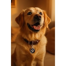 Kedi Köpek İsimlik Metal Pet Kimlik Rozeti İsim Telefon Yazılabilir Dayanıklı Suya Dayanıklı Tasmaya Uygun Evcil Hayvan Künyesi Siyah Pati Açık Gri