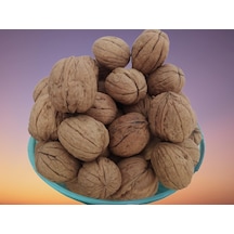 5 KG