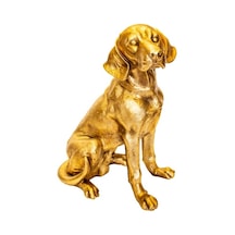 Av Köpeği C 4241 Biblo - Altın