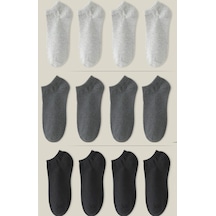 Ozzy Socks 12 Li Unisex Dikişsiz Patik Çorap Çok Renkli