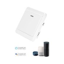 S3050-1 Ewelink Wifi Kapı Çıkış Düğmesi Elektronik Yayın Kilidi