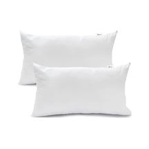 Vionel Home 900 Gr Anticilt Hassasiyetik Boncuk Silikon Dolgulu Yastık / 2 Adet Genel