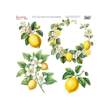 Ütü İle Rub On Transfer Kağıdı 30x30cm Rb-326