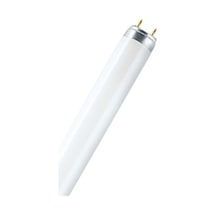 Şavk Amp Flore T8 G13 Sinek 10 W/BL 34 CM
