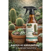 500 ML