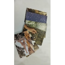 Aesthetic Doğa Ve Seyahat Temalı Duvar Kolaj Kiti - 50 Adet Paris Eyfel Kulesi Ve Vintage Kaset Poster Kartları, Retro Bitki Odası Dekoru, Indie Yurt Odası Duvar Sanatı 10x15 Cm 7/8 Yaş