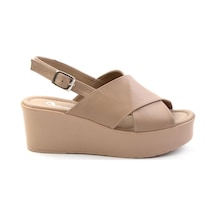 Bej