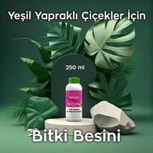 Neoflora 250 Ml Daha Büyük Ve Daha Yeşil Yapraklar, Hızlı Büyüme Ve Canlandırıcı Bakım 250 ML