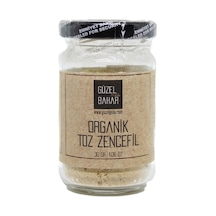 Güzel Ada Gıda Organik Toz Zencefil 30 G