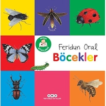 Minik Kitaplarım Böcekler