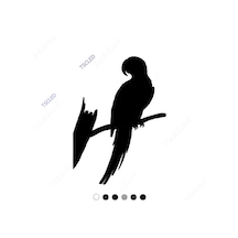 Sırtı Dönük Papağan Sticker 15Cm