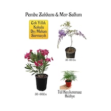 Pembe Zakkum Fidanı+mor Salkım Ağacı Fidanı Tül Kuşkonmmaz Bahçe Peyzaj Seti