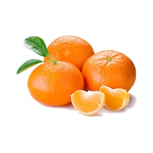 Tüplü Kokulu Çekirdeksiz Aromatik Okitsu Mandalina Fidanı