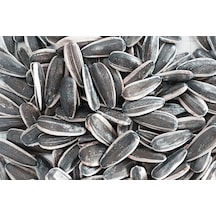 Ay Çekirdeği Siyah Sade 1 KG