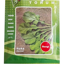 Bengi Cinsi Roka Tohumu İlaçlı Bengi Roka Tohumu 25 Gram