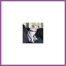 Trixie Köpek Emniyet Kemeri Medium 50-70 Cm Rengaren